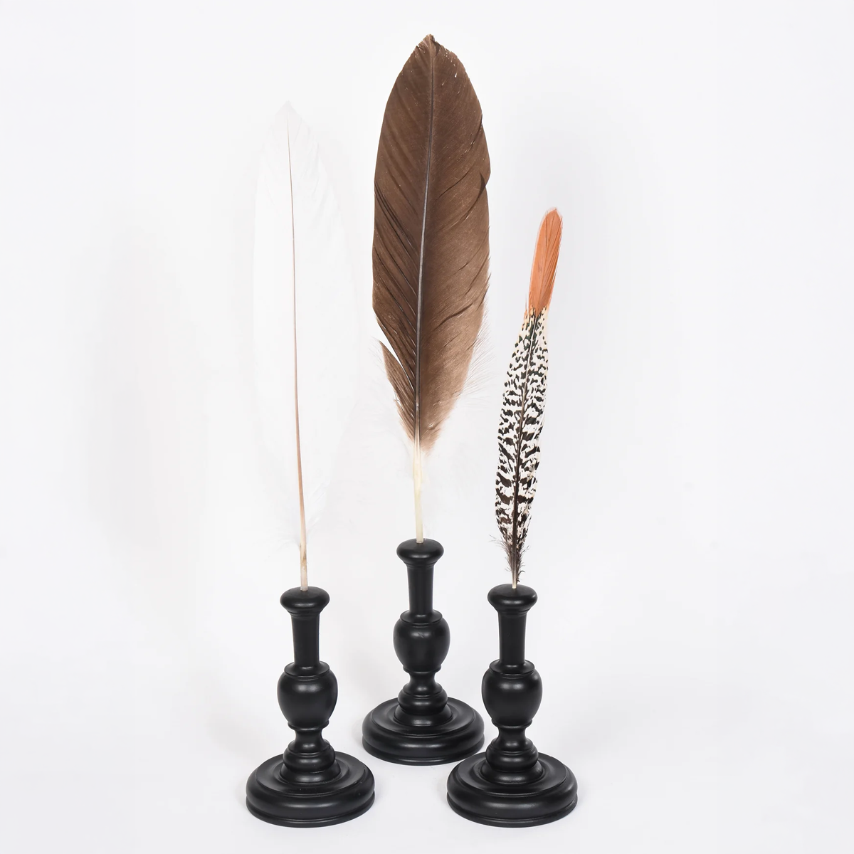 Assorted Feathers