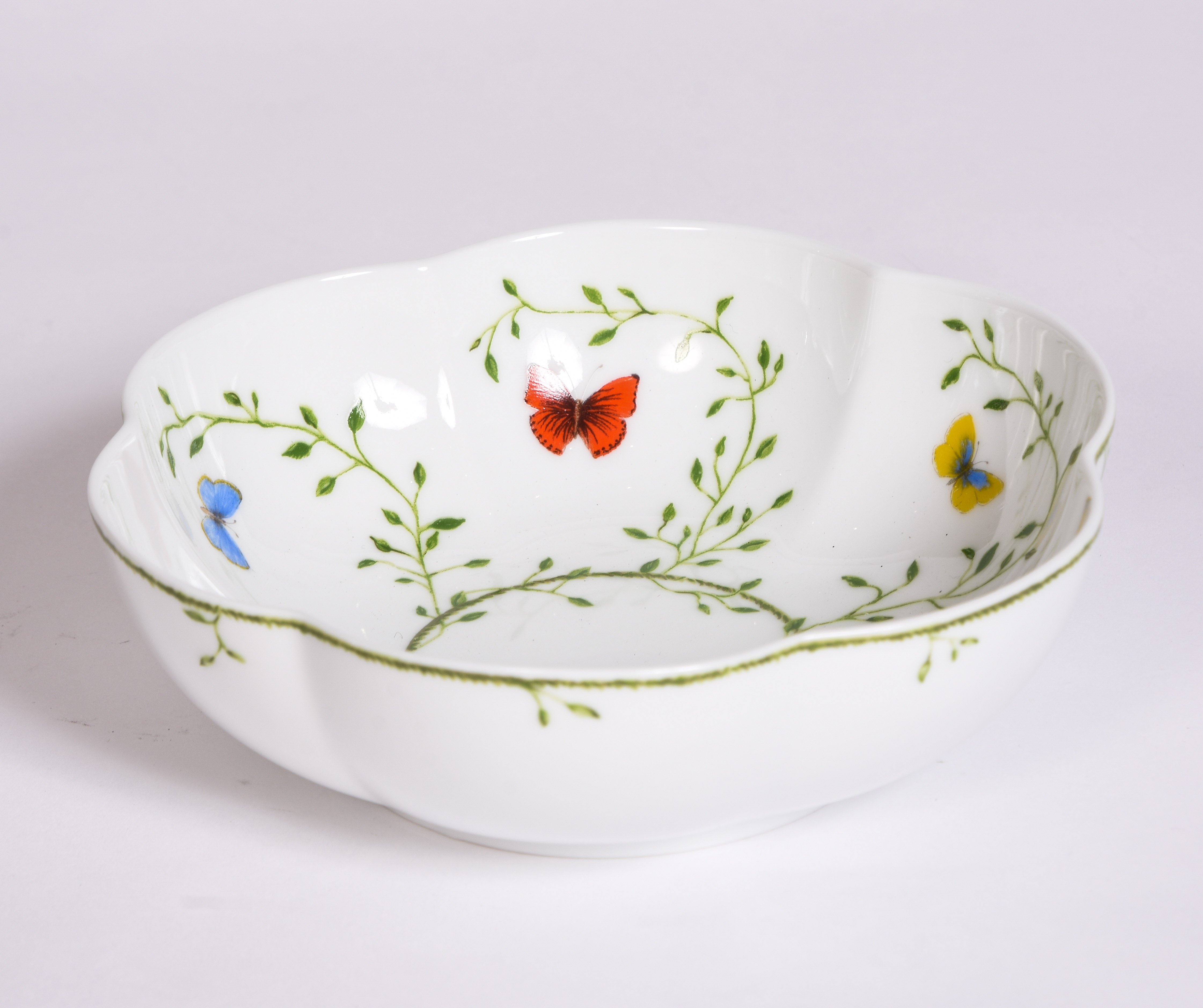 Histoire Naturelle Collection