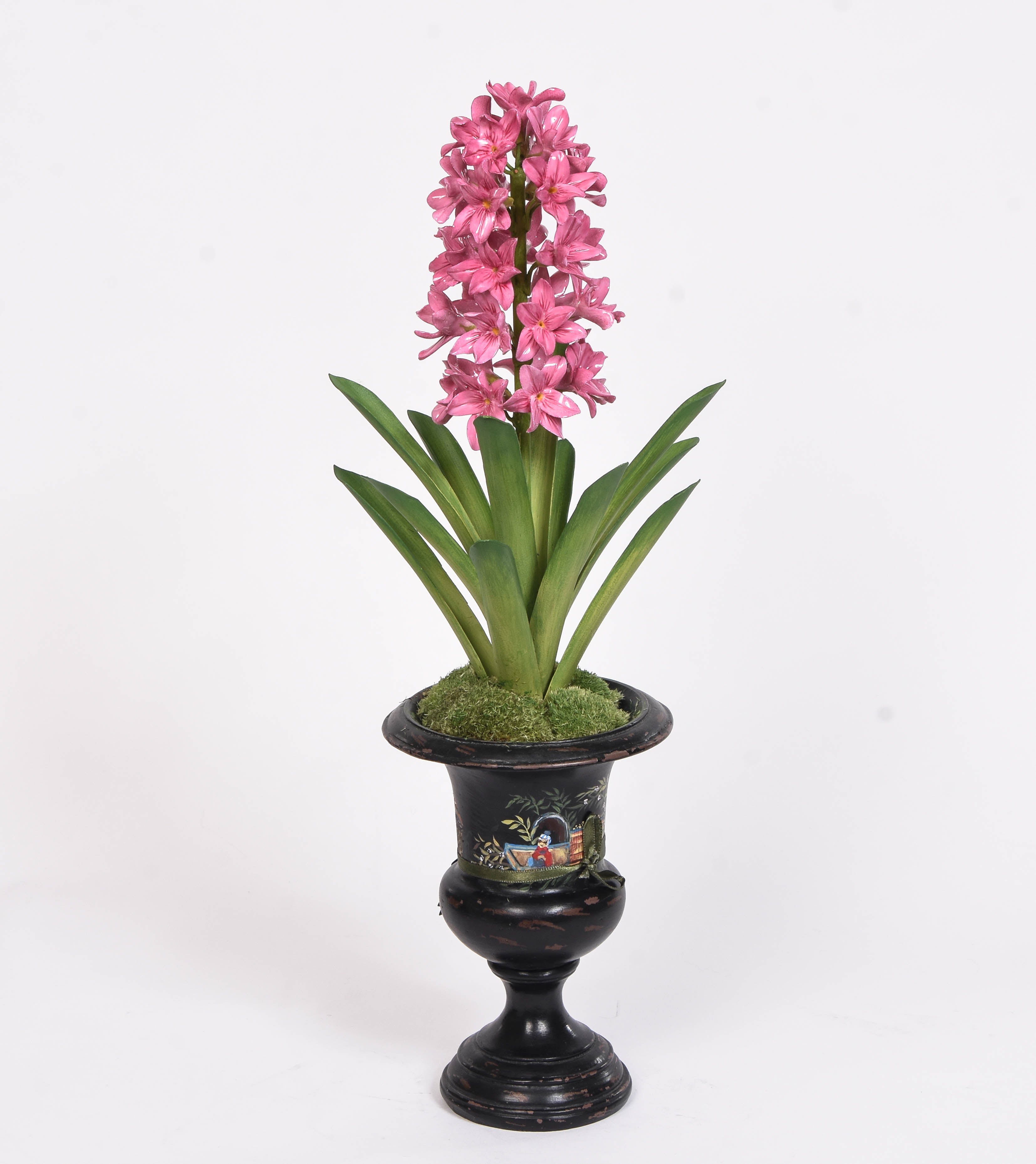 Porcelain Hyacinth in a Medicis Pot