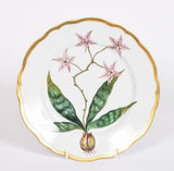 Orchid Dinner Service