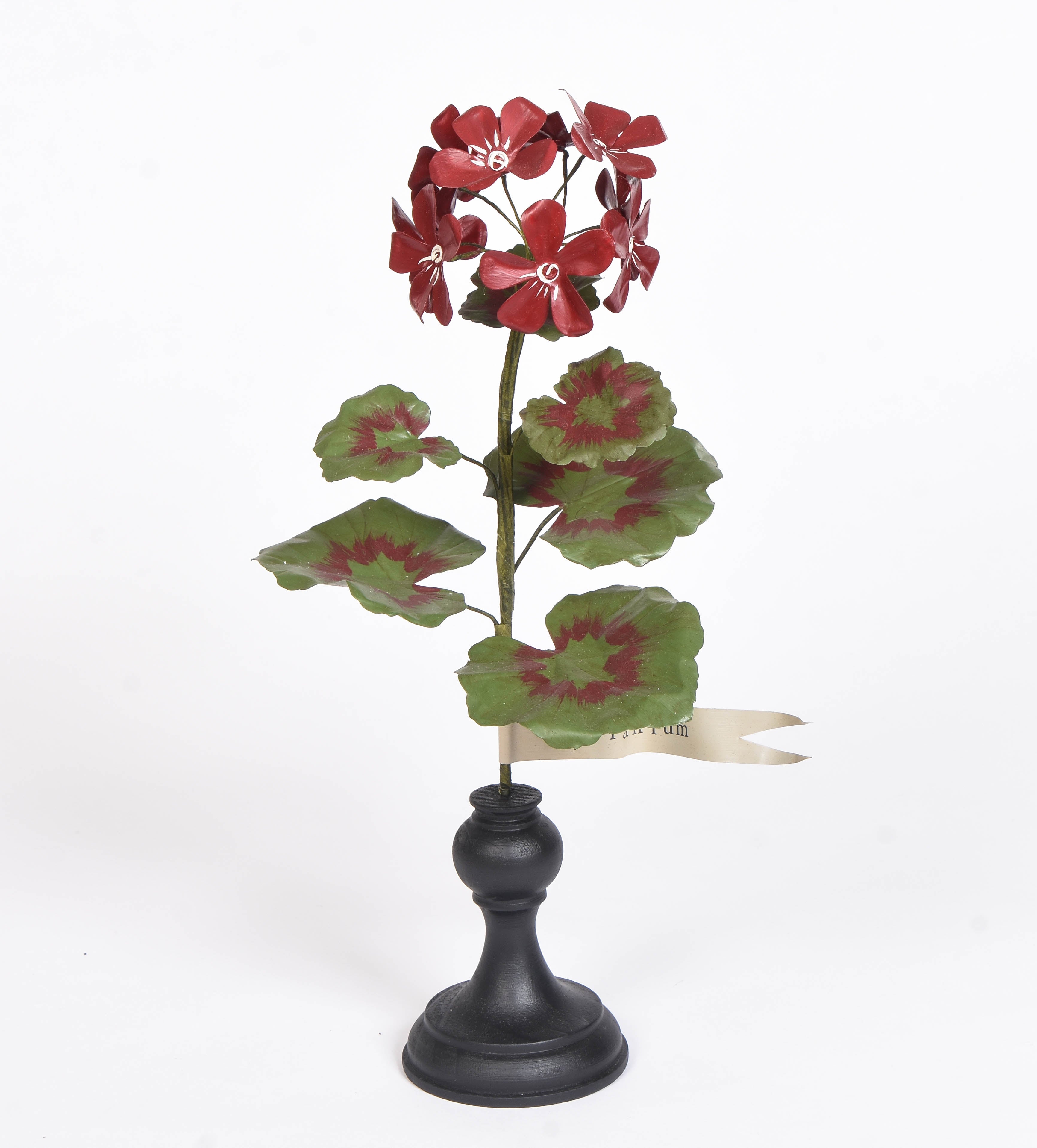 Copper Geranium