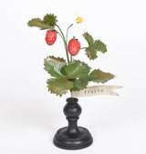 Botanical Treasures