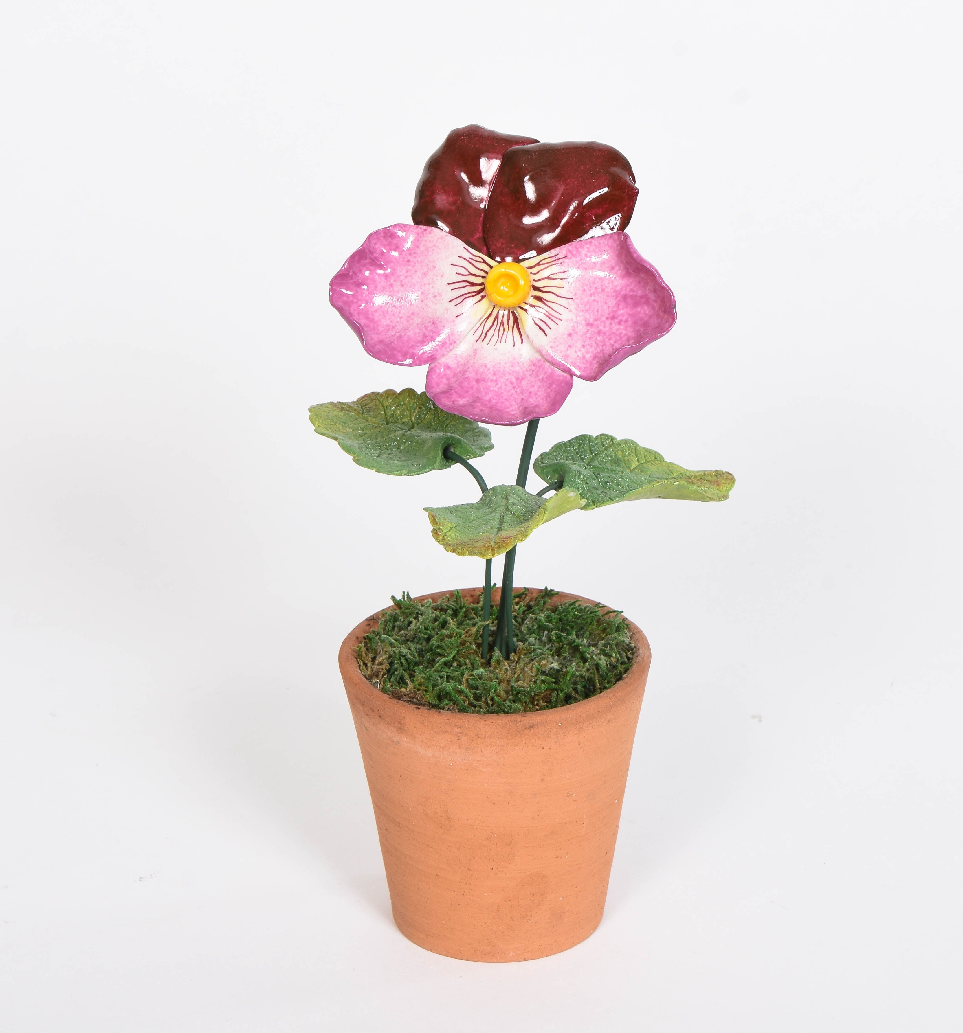 Porcelain Pansy