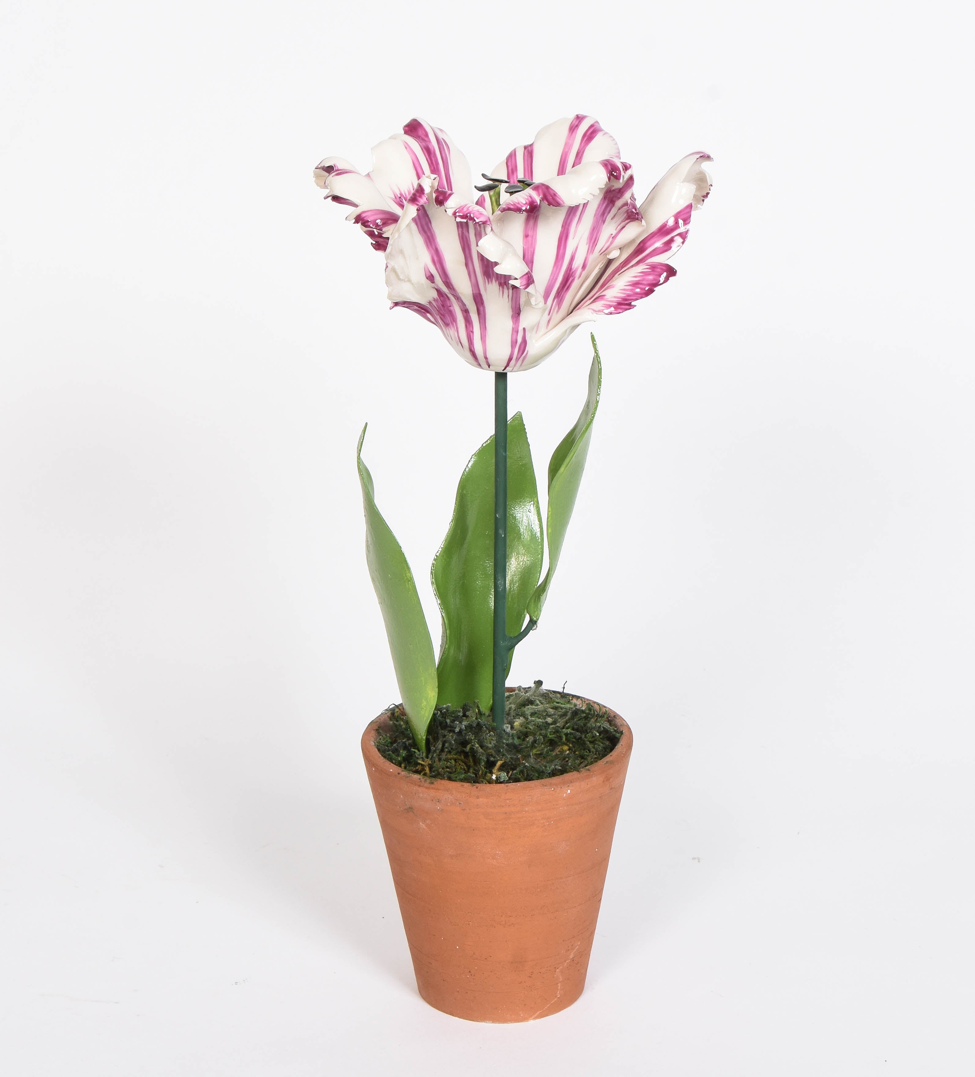 Porcelain Open Tulips