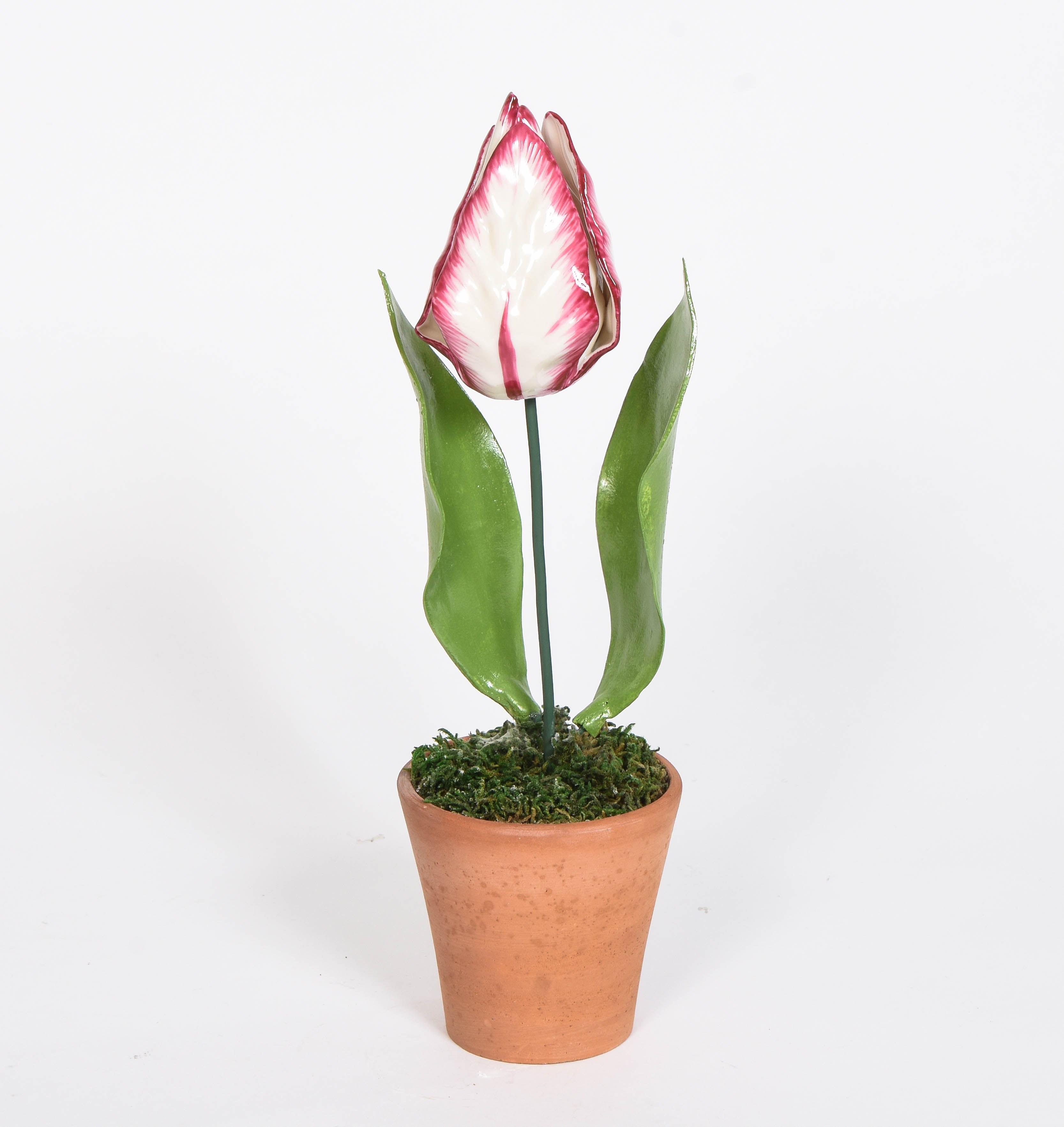 Porcelain Closed Tulips