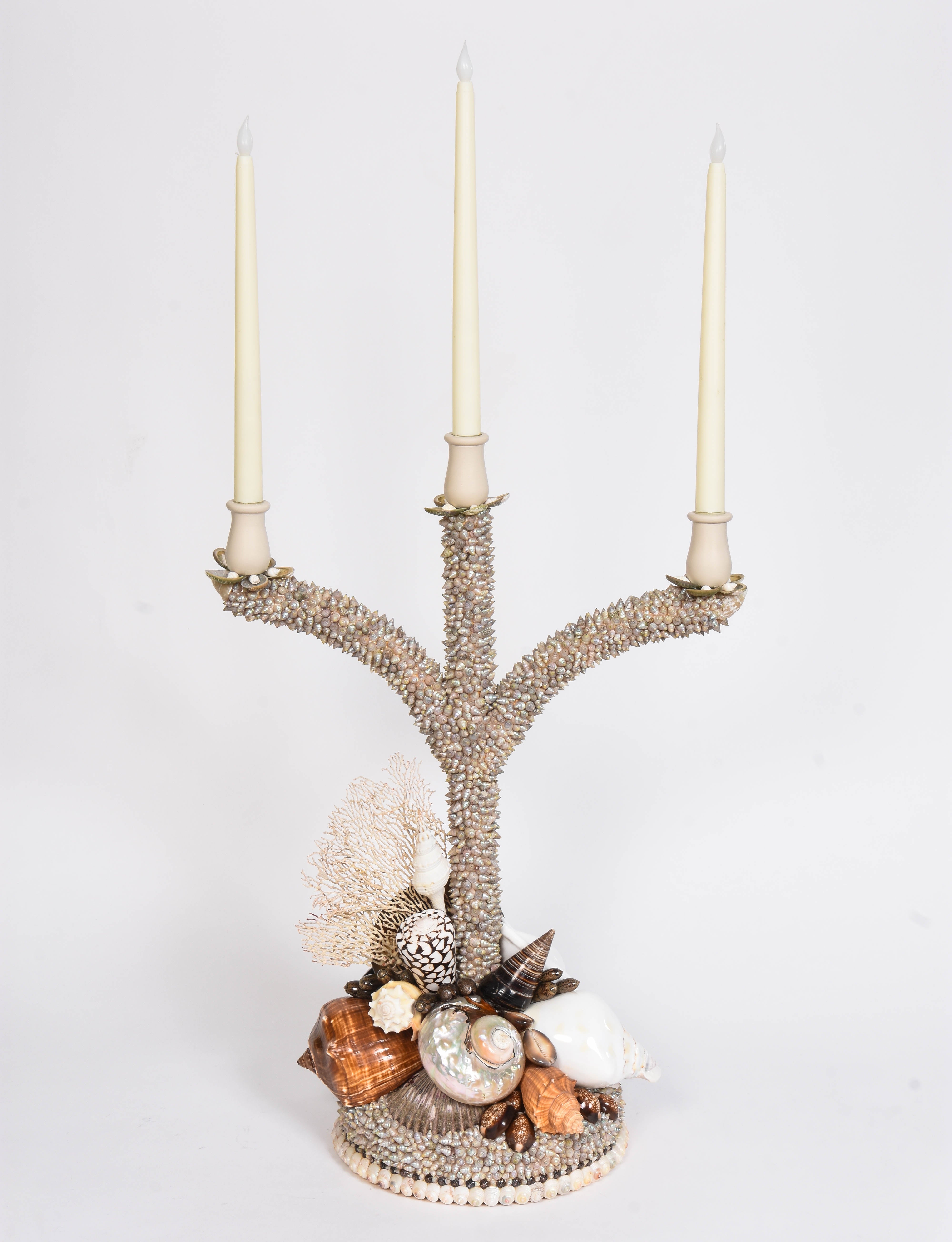 Shell Candelabras