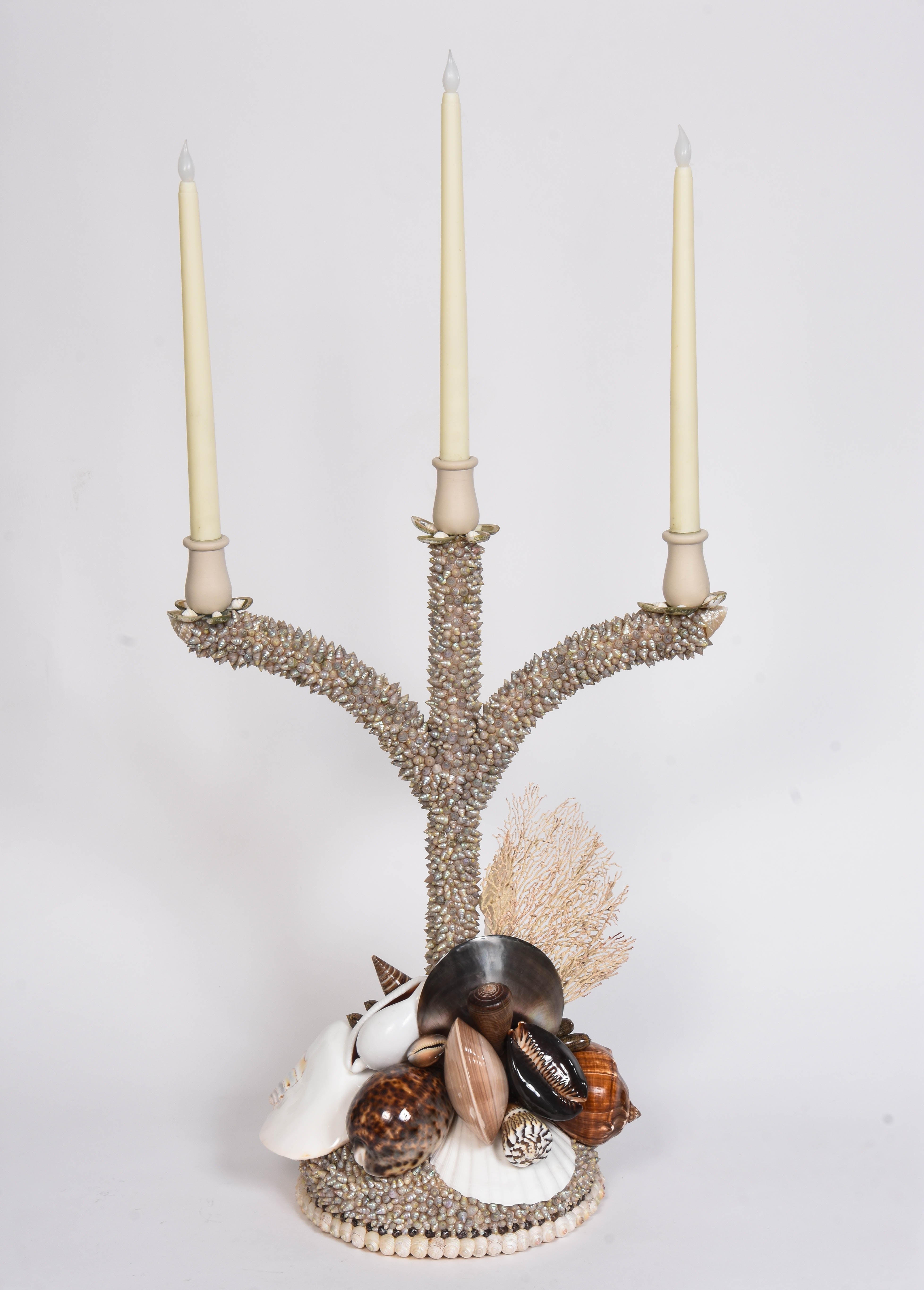 Shell Candelabras