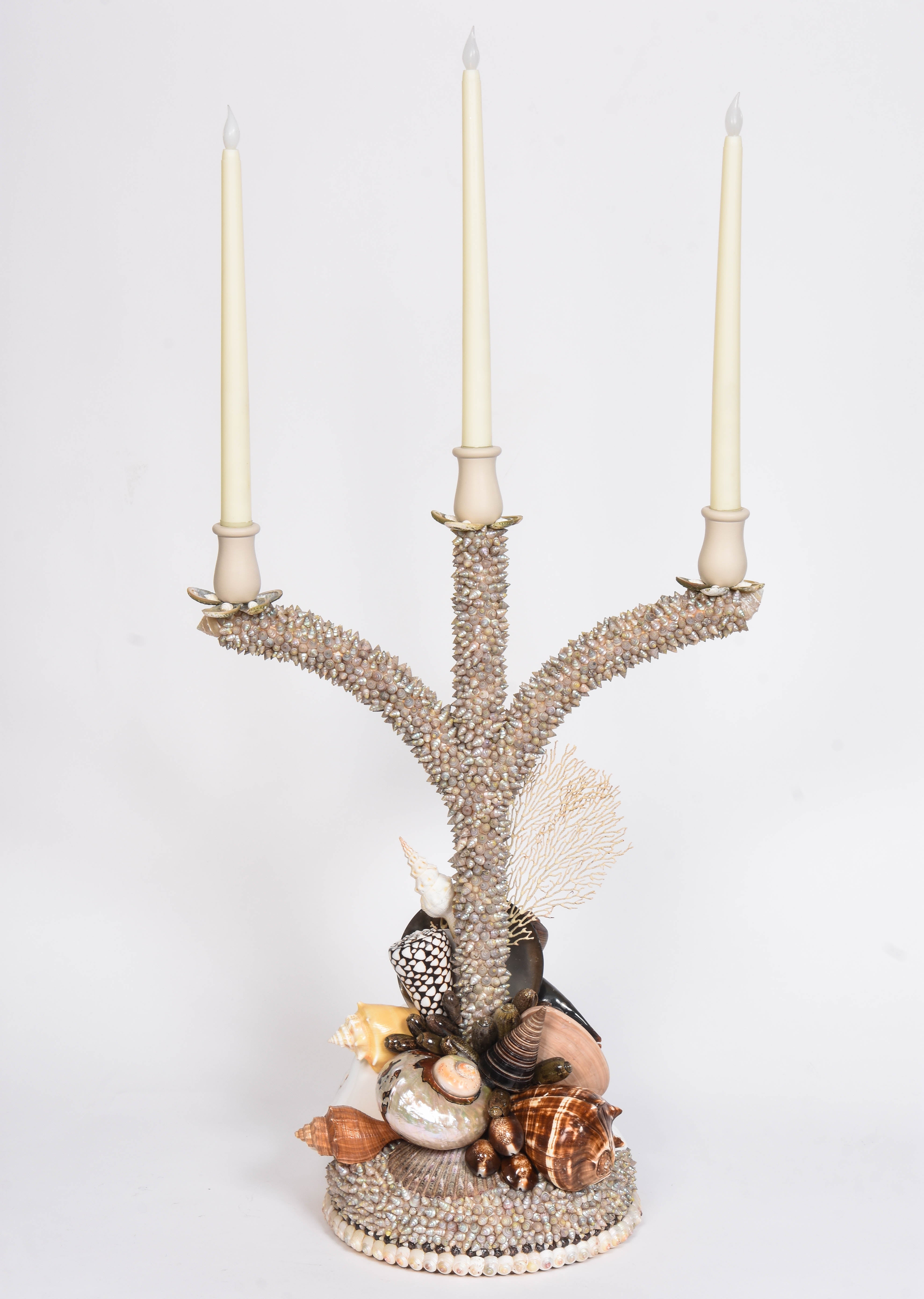 Shell Candelabras