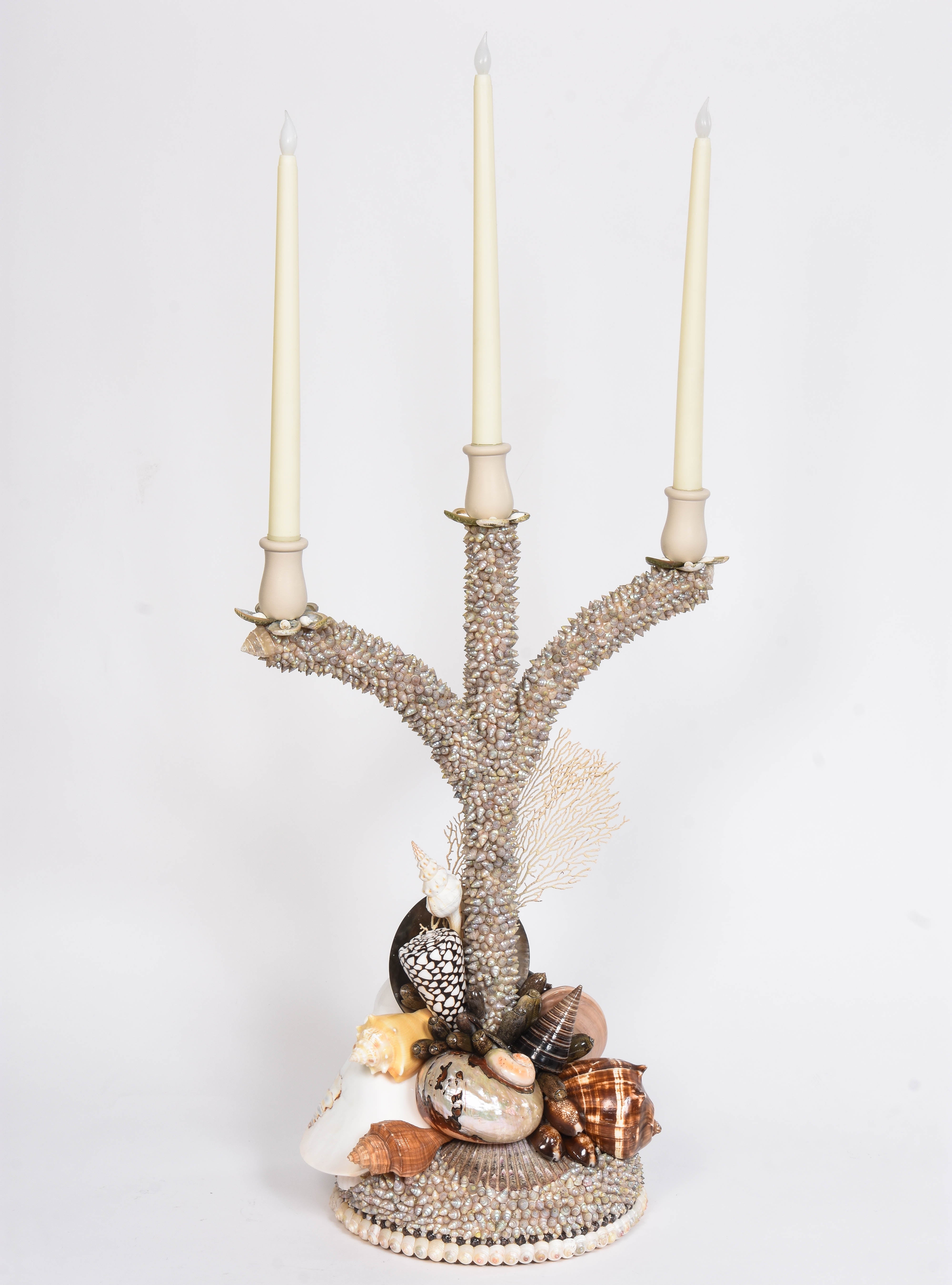 Shell Candelabras