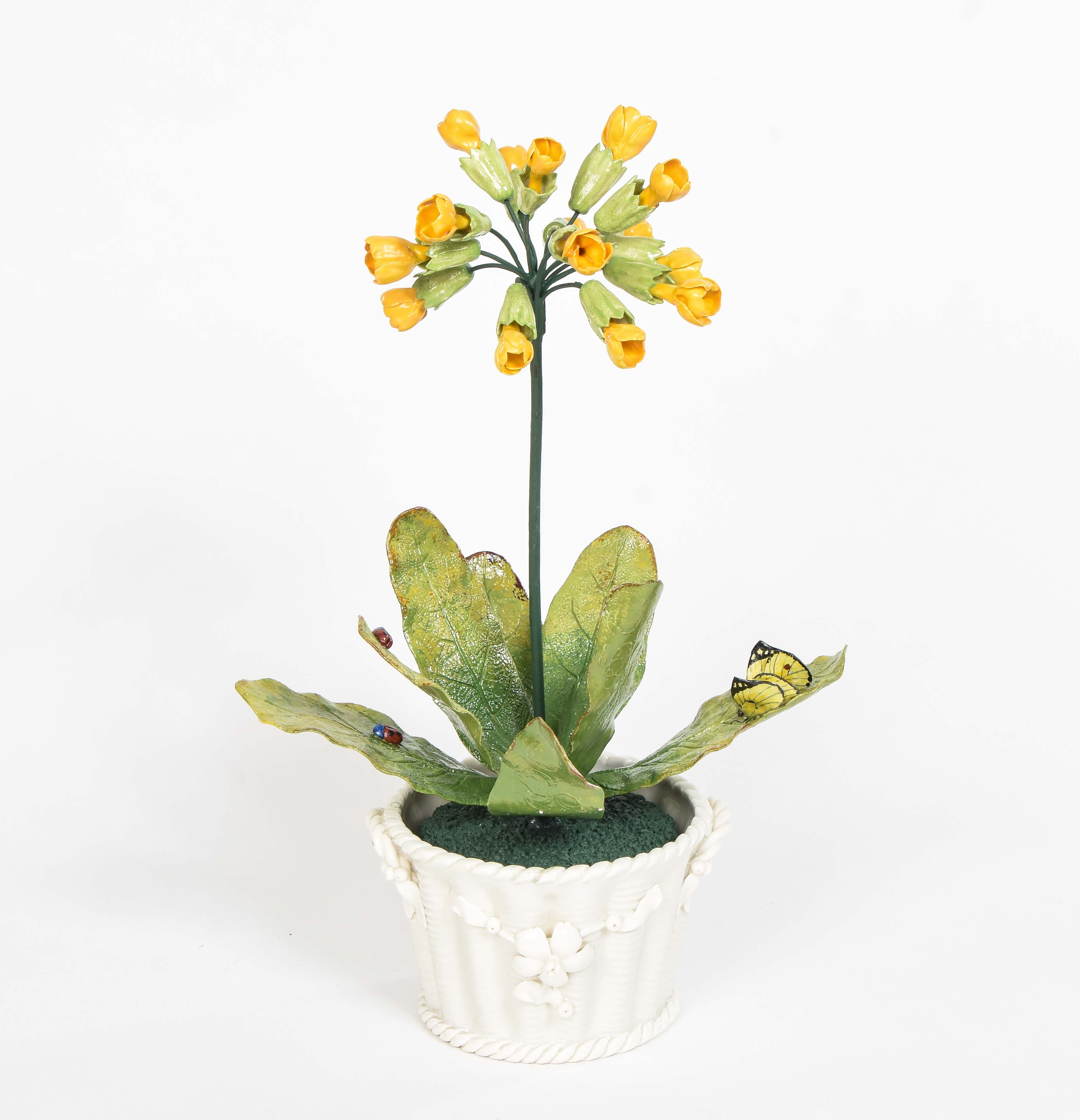 Porcelain Primrose