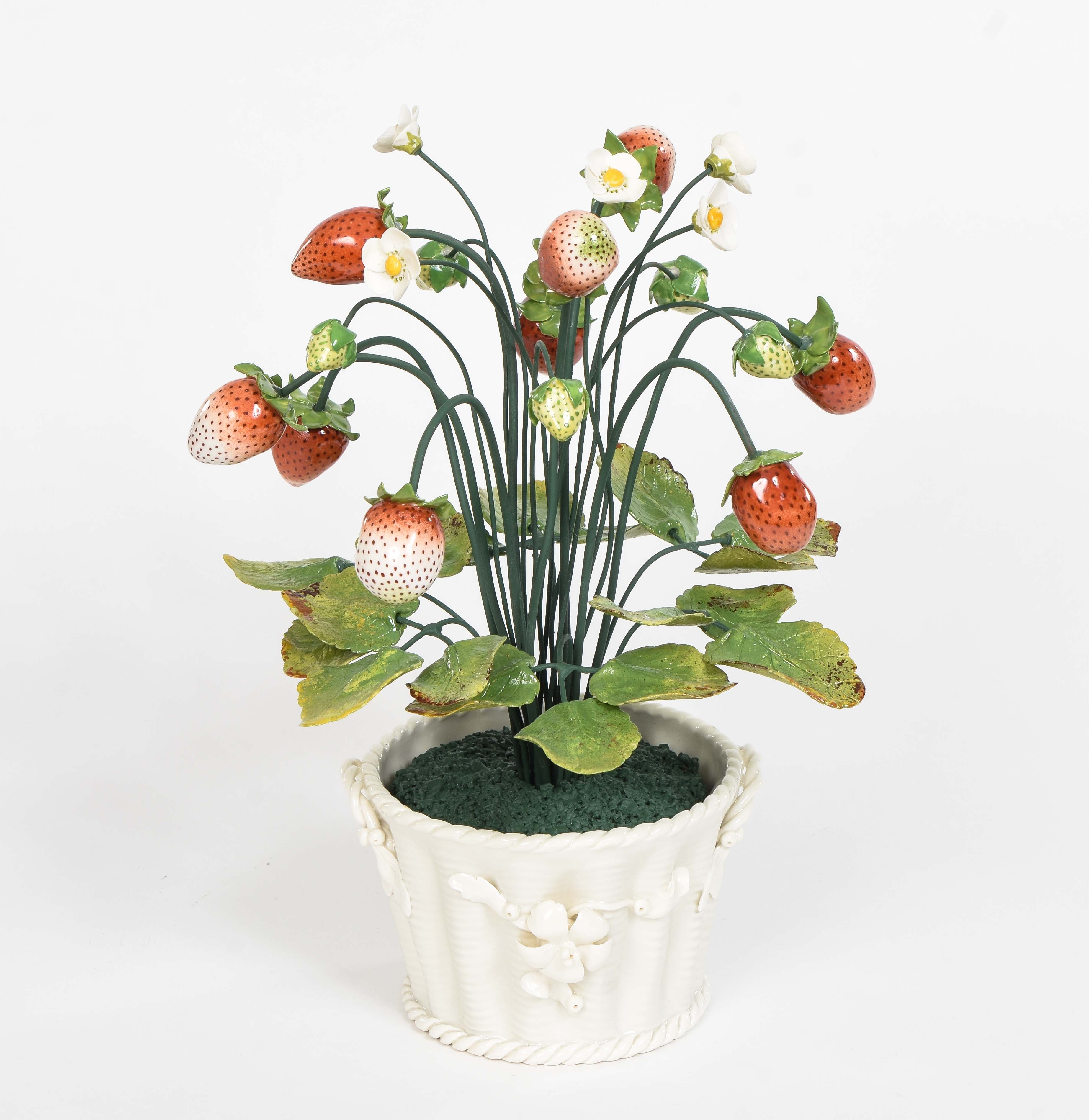 Strawberry Plant in White Porcelain Pot