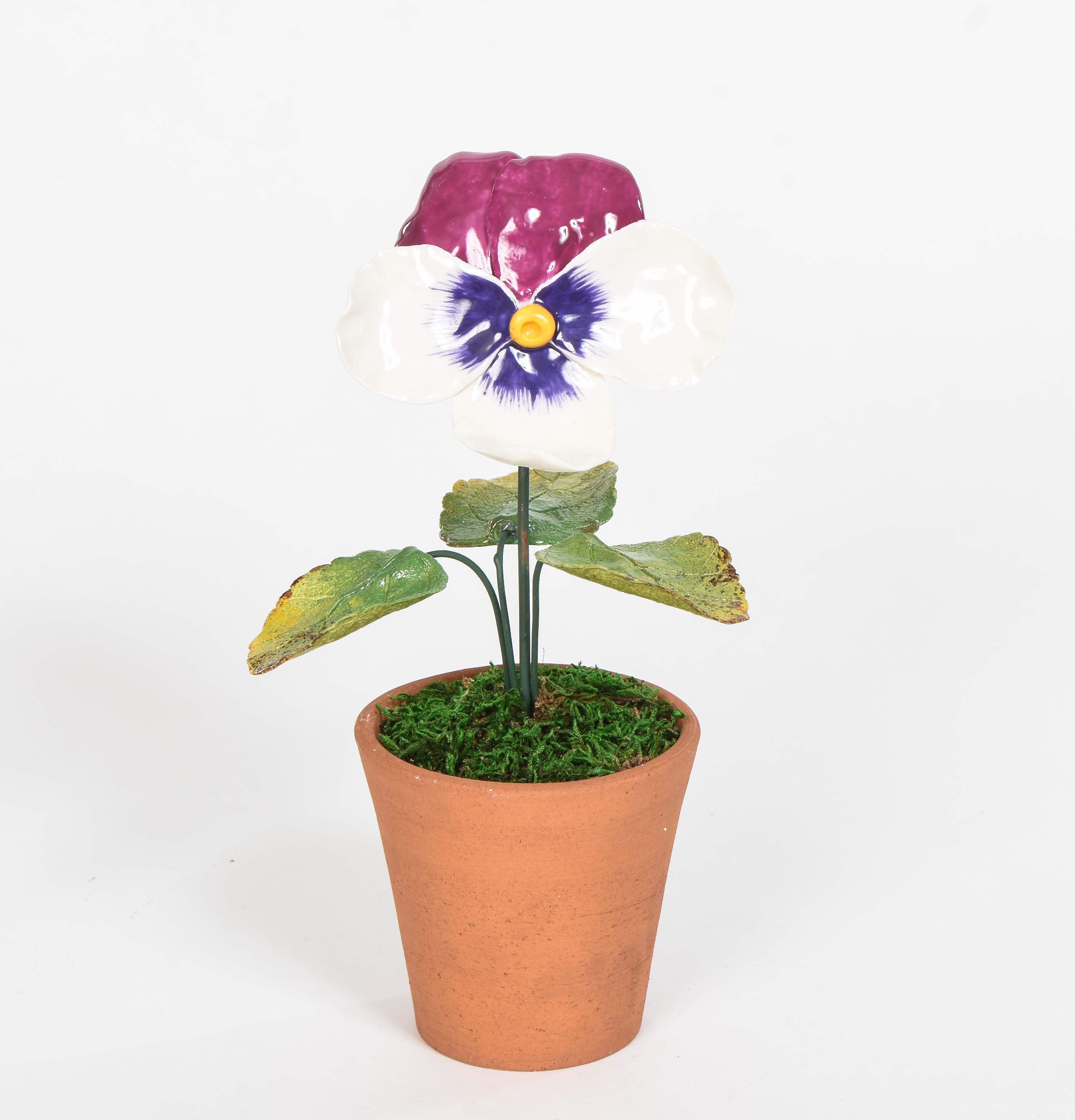 Porcelain Pansy