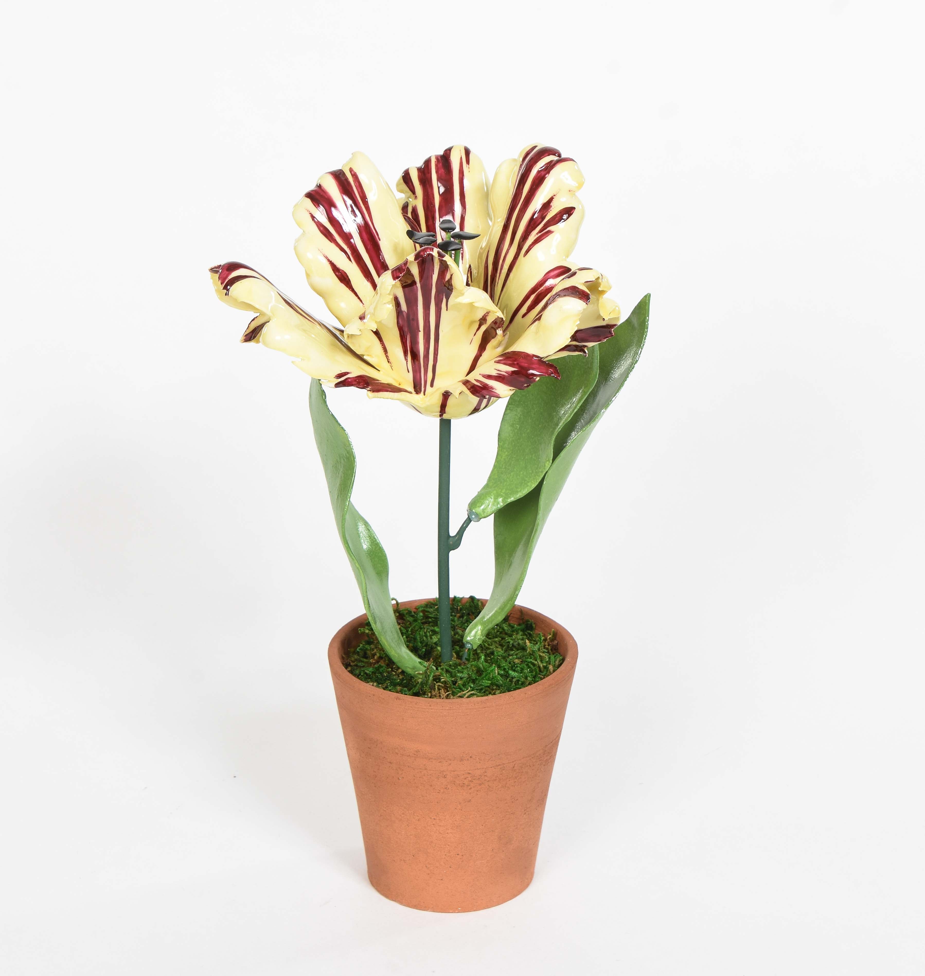 Porcelain Open Tulips