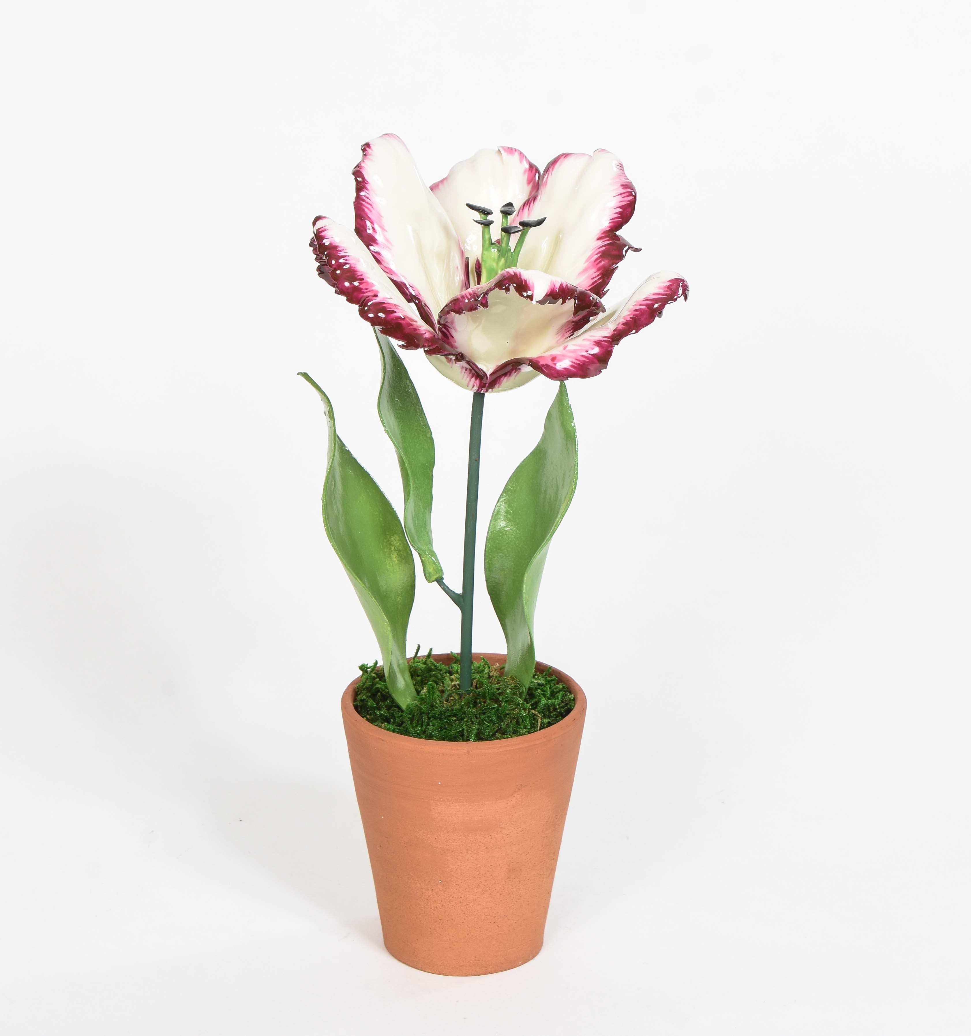 Porcelain Open Tulips