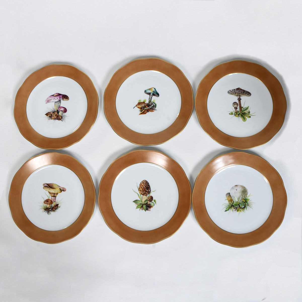 Herend Mushroom Dinner Plates - Set of 12