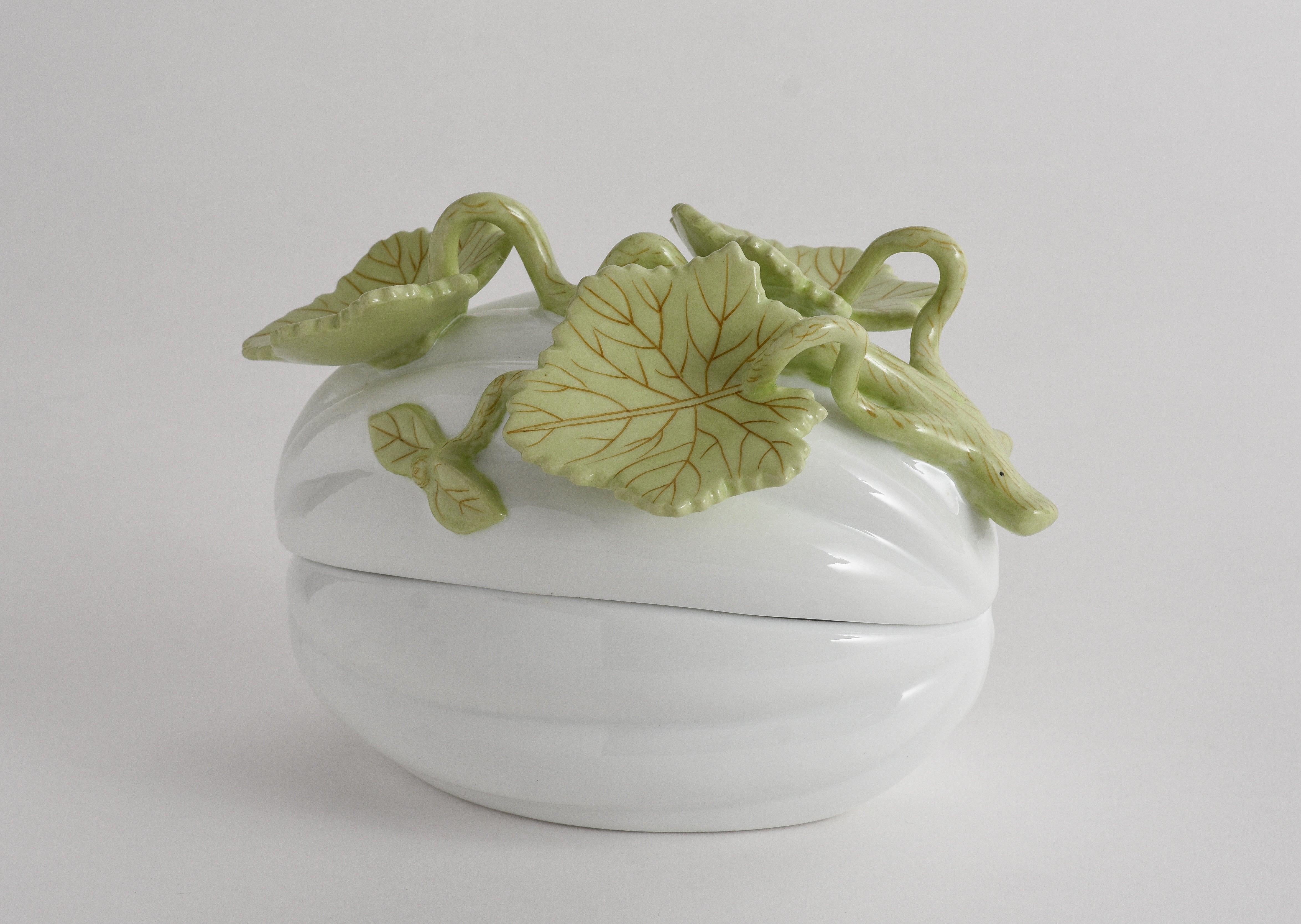 Melon with Green Leaves