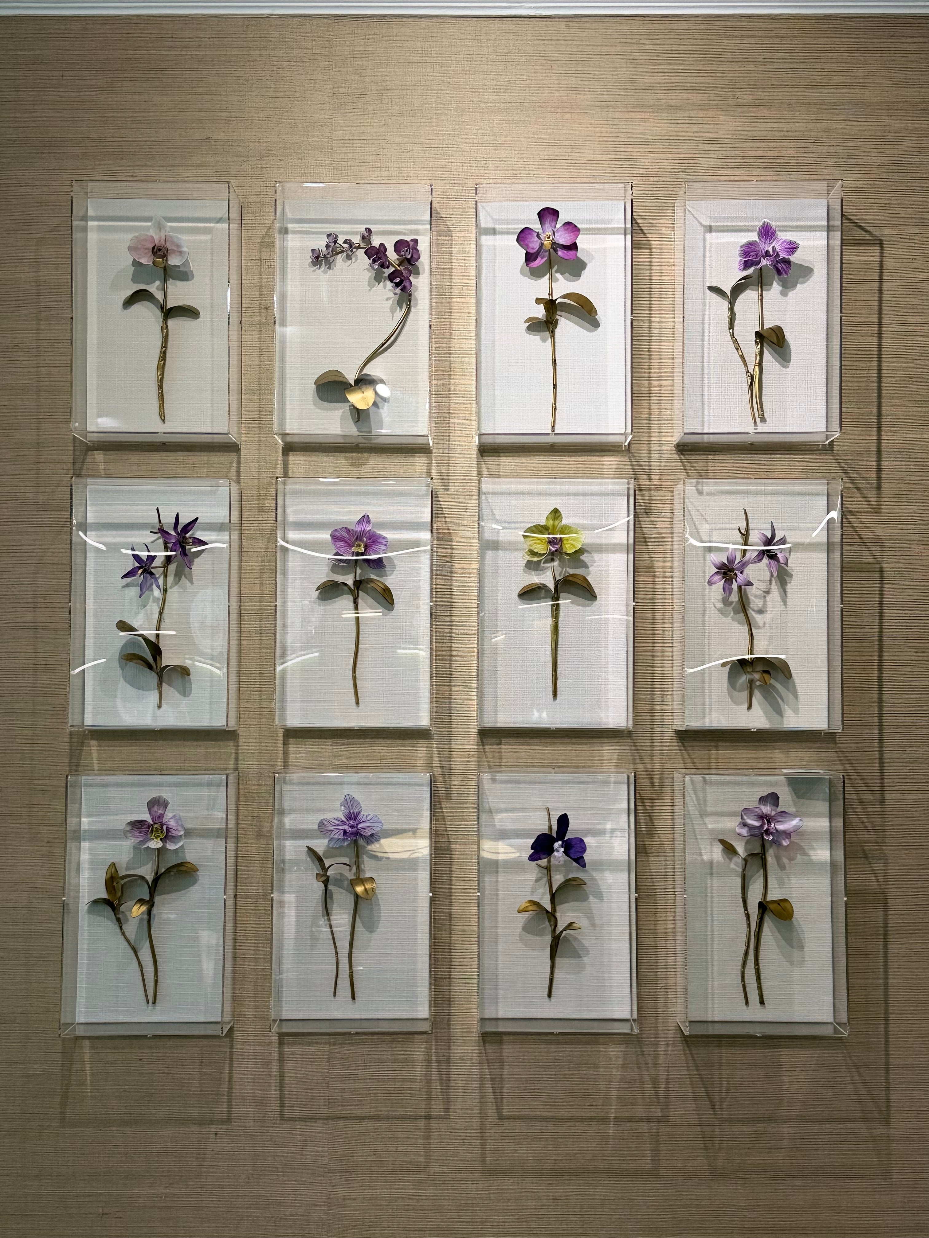 Set of 12 Orchids - Gold on White