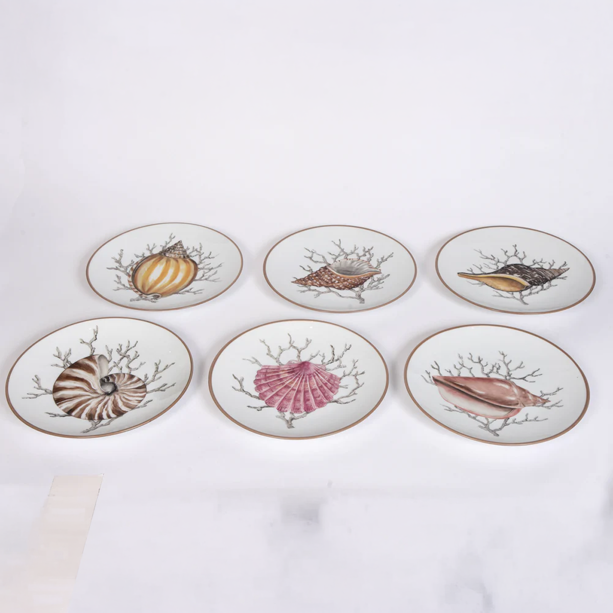 Shell Dessert Plates