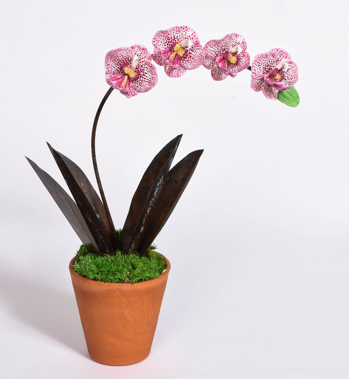 Porcelain Orchid