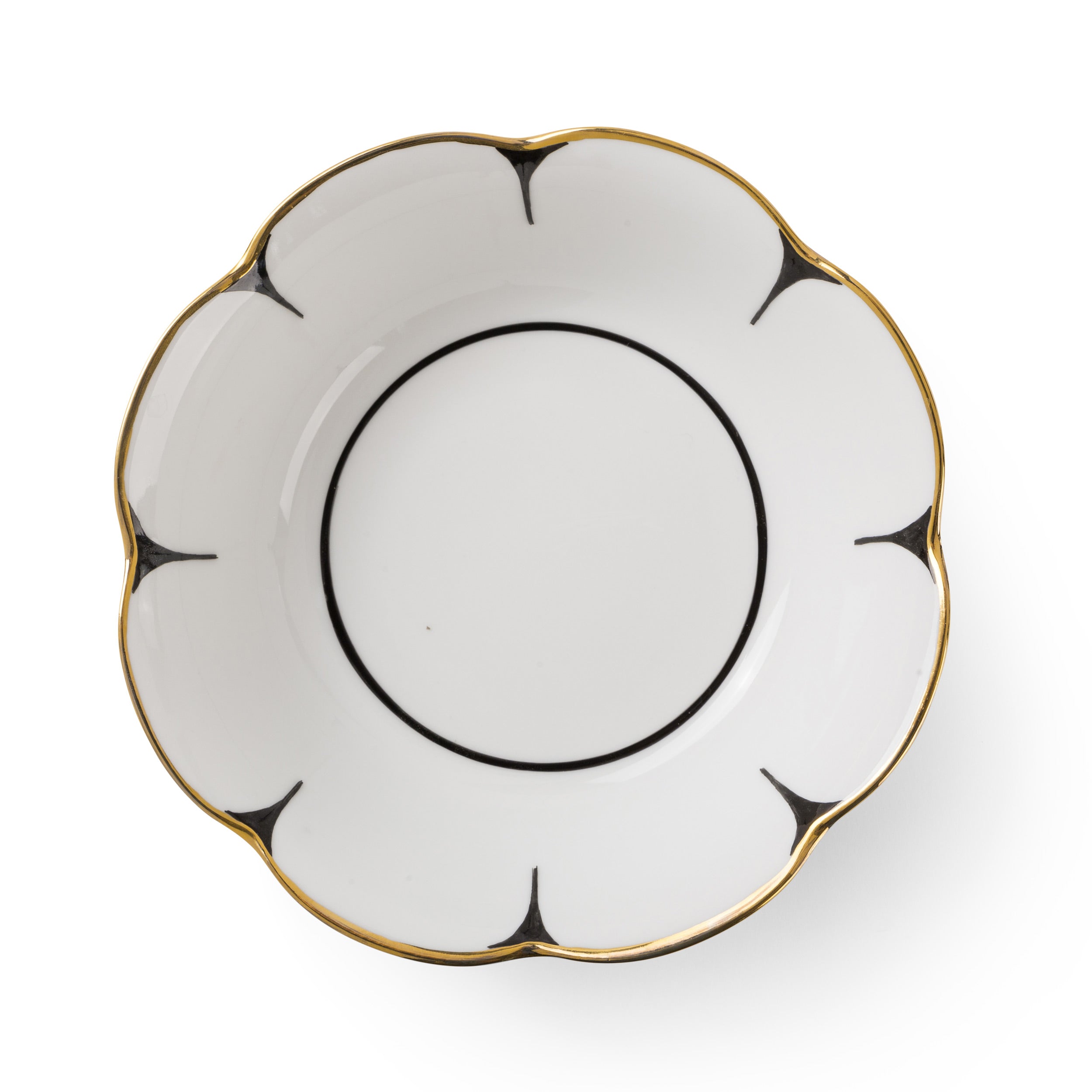 Molecot Drops Collection