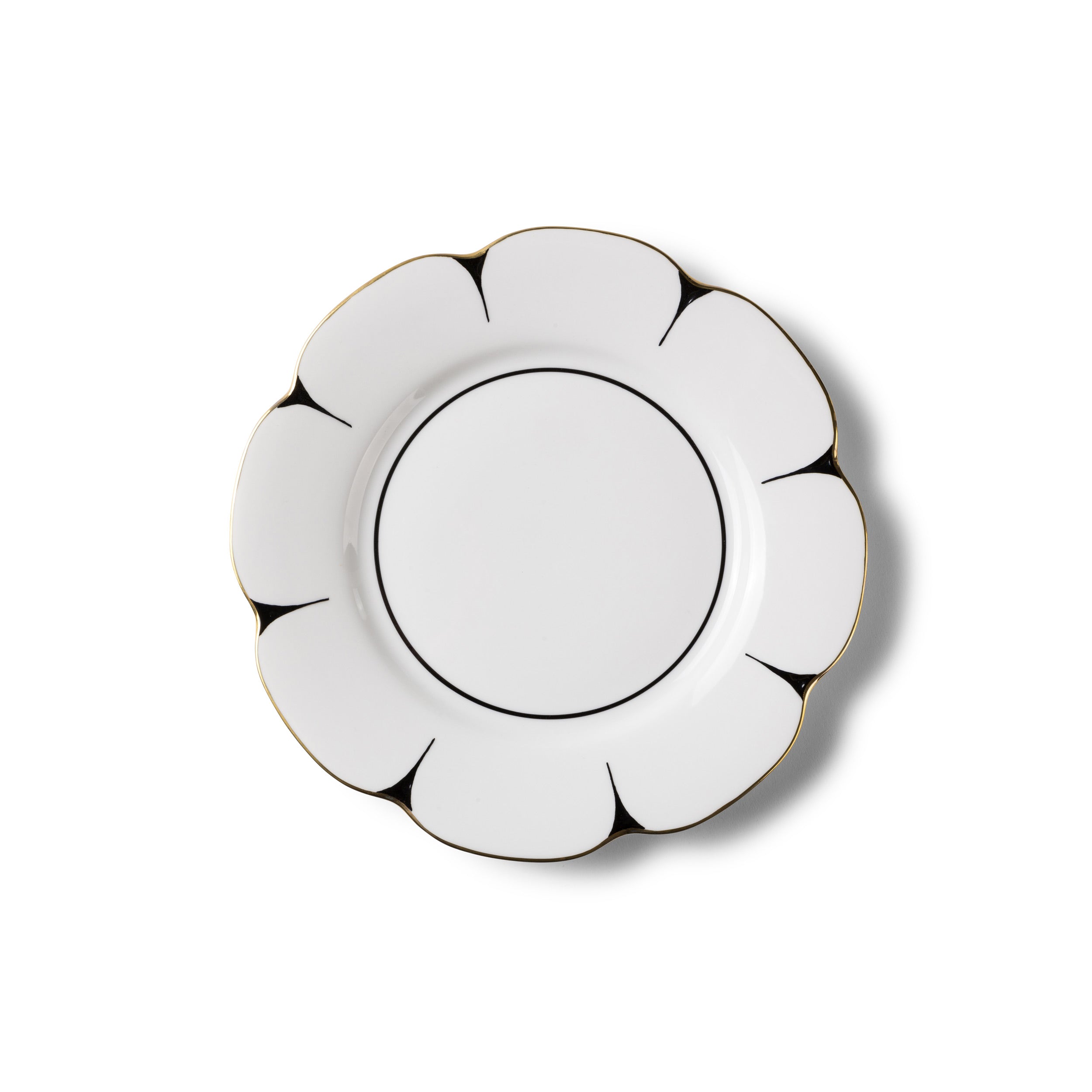 Molecot Drops Collection