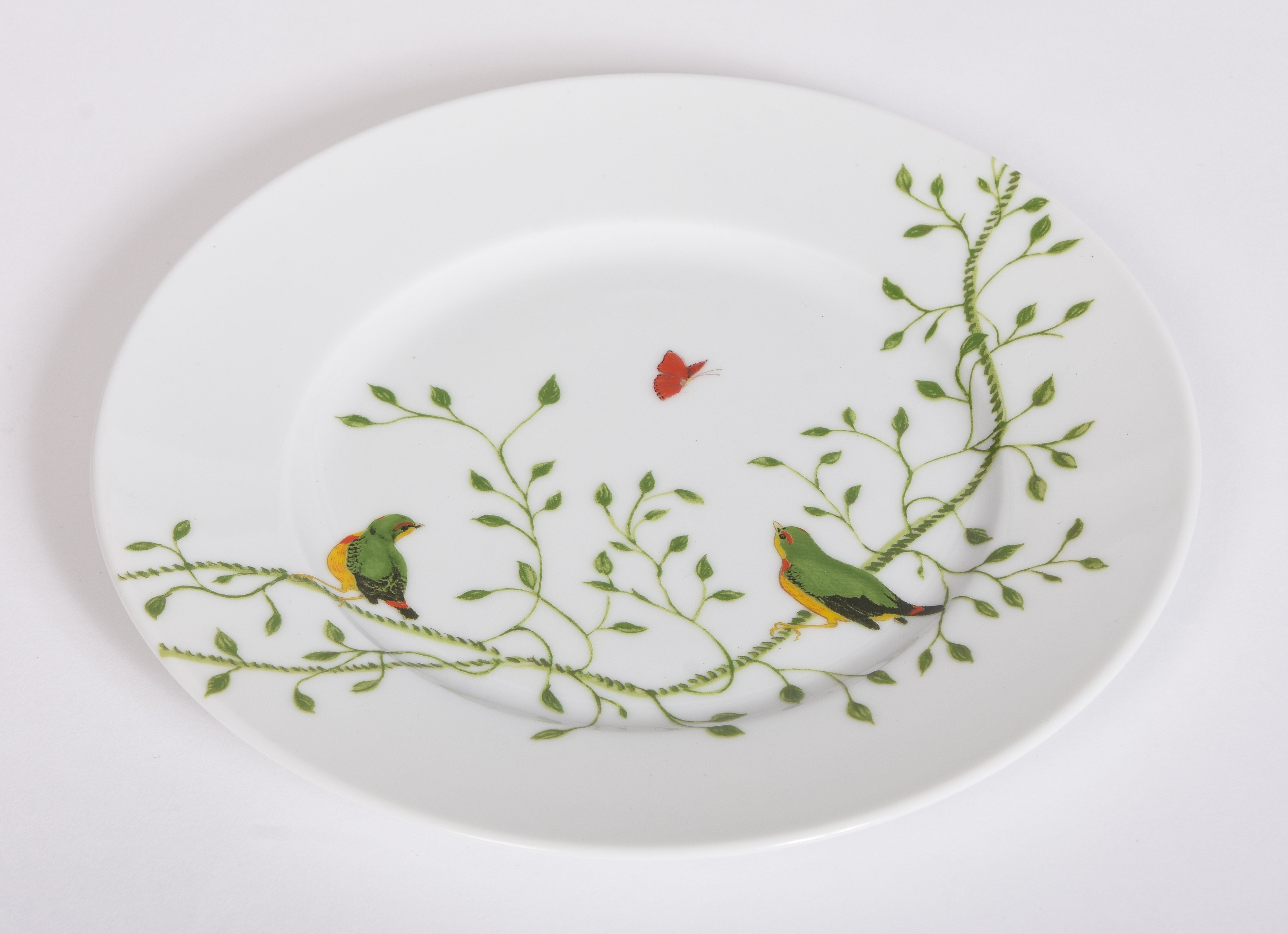 Histoire Naturelle Collection