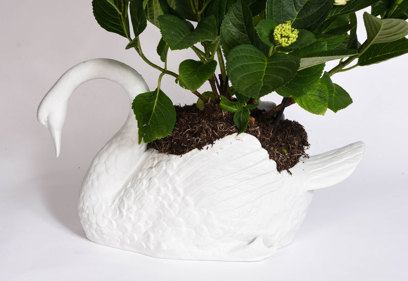 Swan Planters