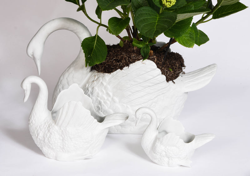 Swan Planters