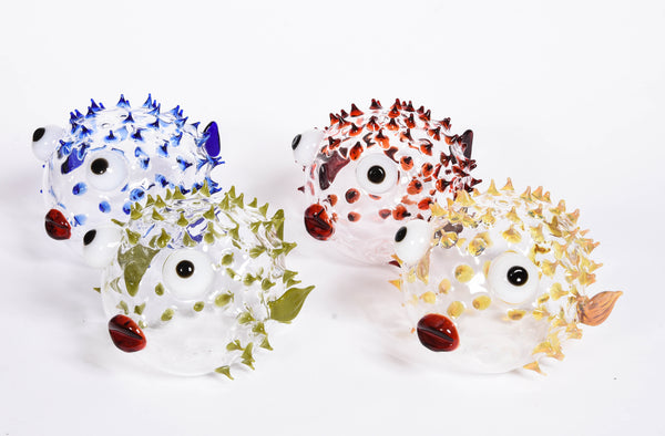 Assorted Pufferfish