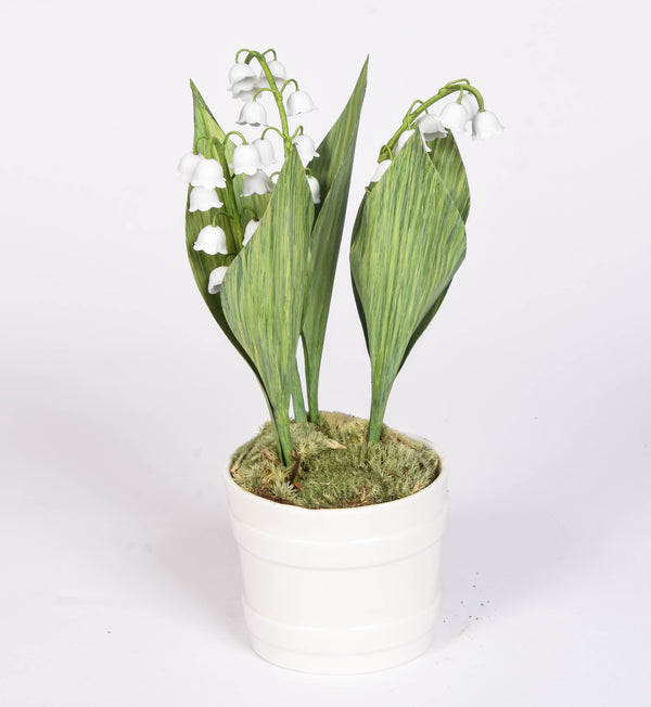 Lily of The Valley in Porcelain Pot
