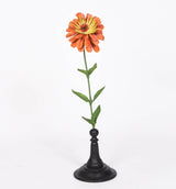Red and Orange Zinnia
