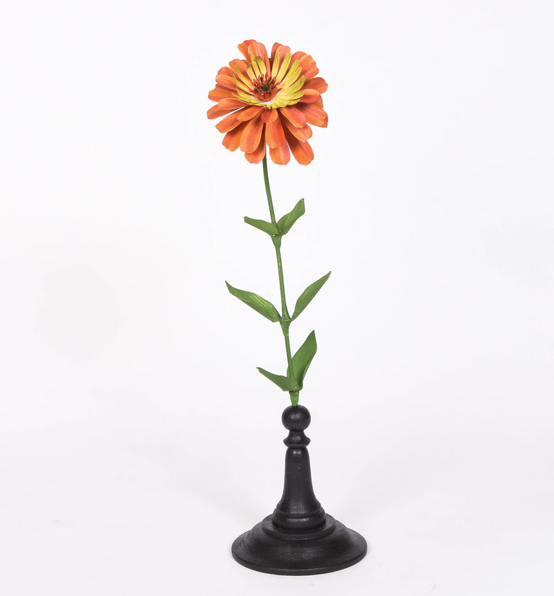 Red and Orange Zinnia