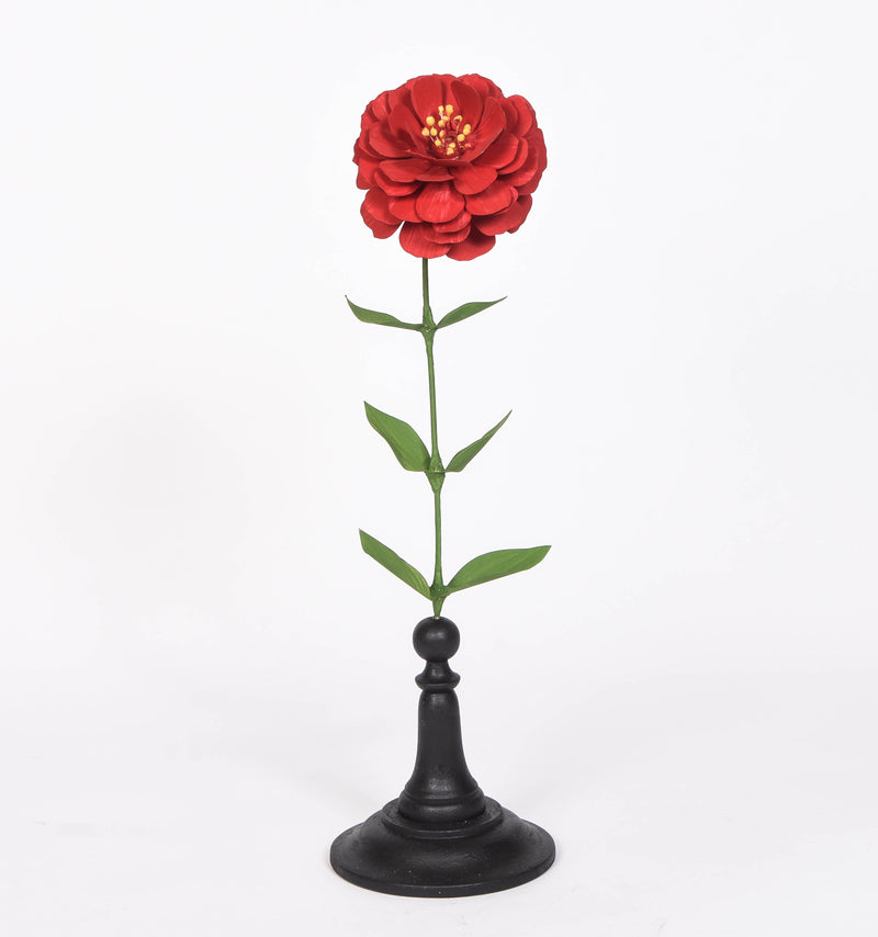 Red and Orange Zinnia