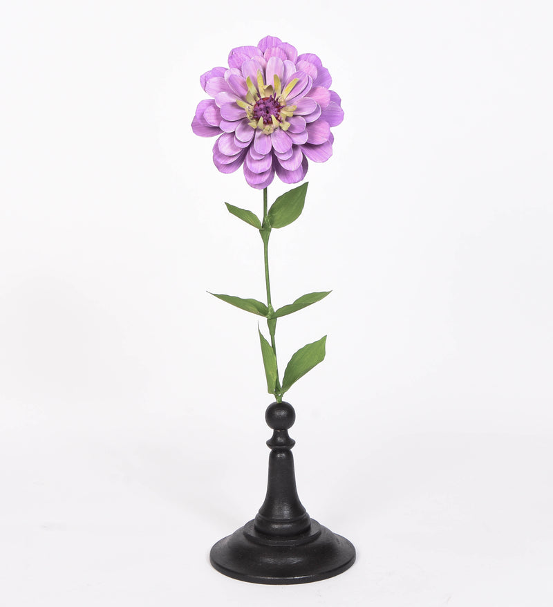 Lilac Zinnia