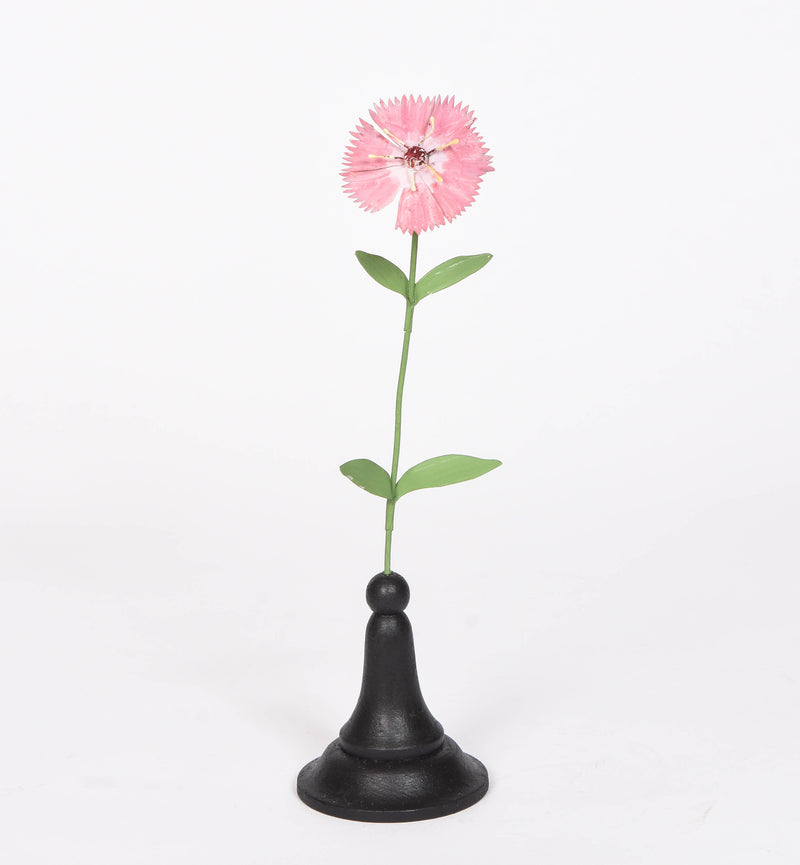 Pink Carnation
