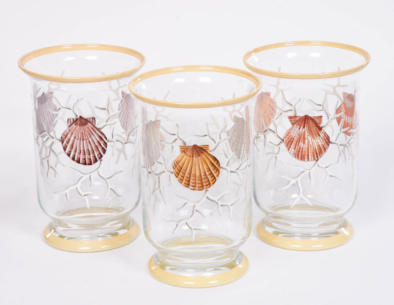 Coquillage Hurricane Lamp