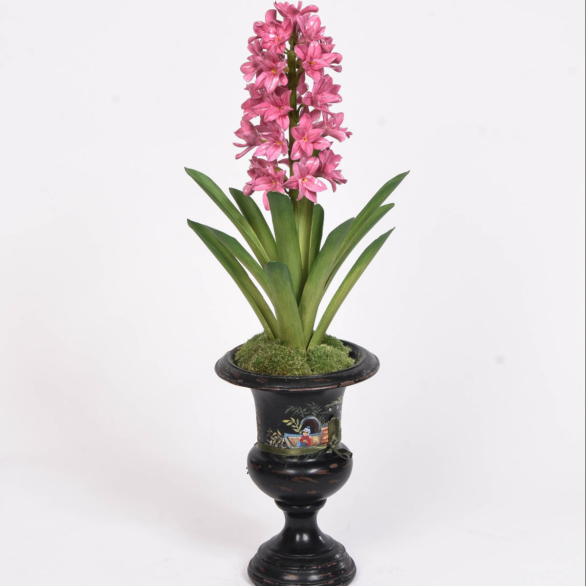 Porcelain Hyacinth  in a Medicis Pot