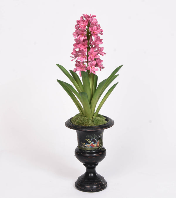 Porcelain Hyacinth  in a Medicis Pot