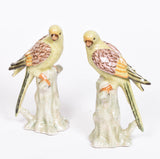 Pair of Porcelain Parakeets