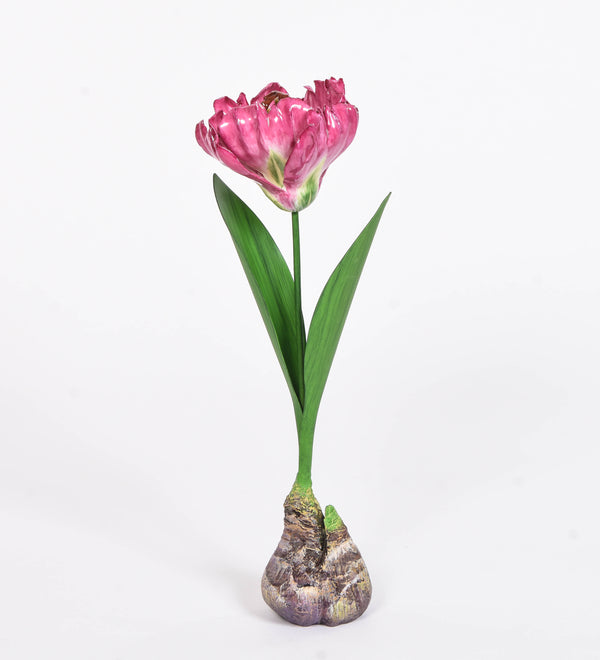 Bronze Bulb Tulips
