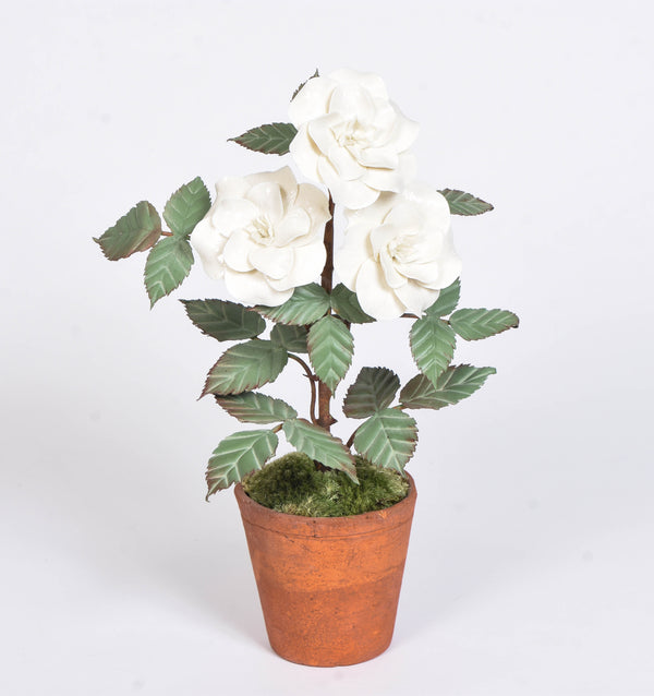 Porcelain Rosebush