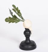 Vegetable Treasures