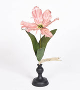 Botanical Treasures