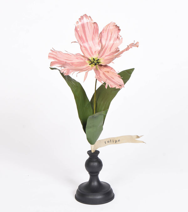 Botanical Treasures