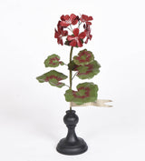 Botanical Treasures