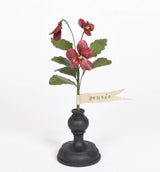 Botanical Treasures