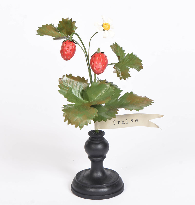 Botanical Treasures