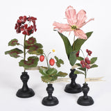 Botanical Treasures