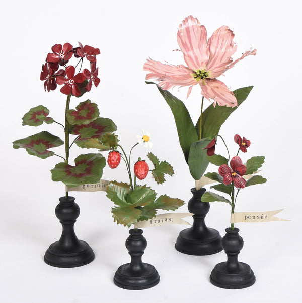 Botanical Treasures