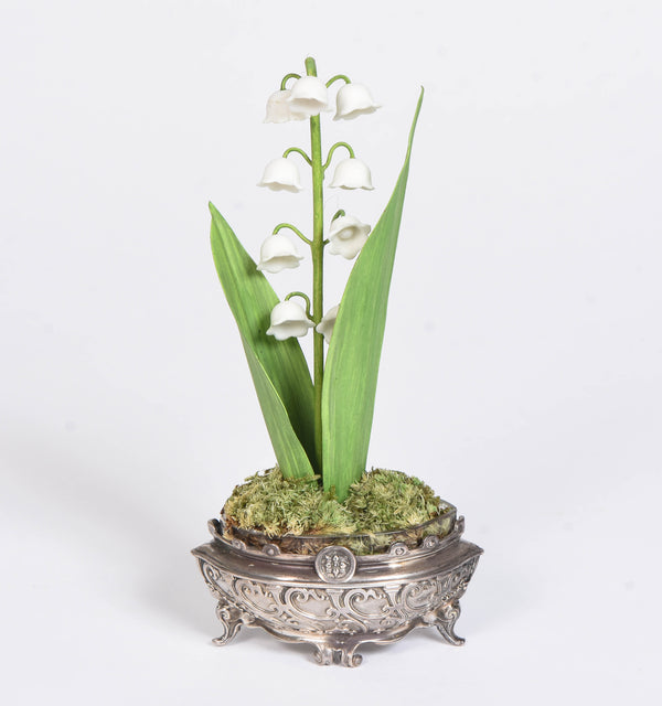 Miniature Lily of the Valley
